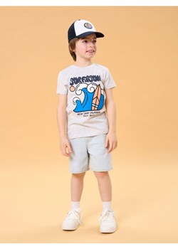 Sinsay - Koszulka - szary ze sklepu Sinsay w kategorii T-shirty chłopięce - zdjęcie 184904320