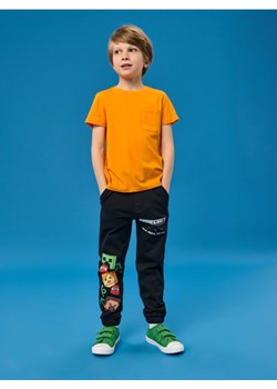Sinsay - Spodnie Minecraft - szary ze sklepu Sinsay w kategorii Spodnie chłopięce - zdjęcie 184904324