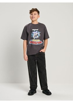 Sinsay - Koszulka Marvel - szary ze sklepu Sinsay w kategorii T-shirty chłopięce - zdjęcie 184905161