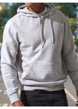 Sinsay - Bluza - szary ze sklepu Sinsay w kategorii Bluzy męskie - zdjęcie 184905413