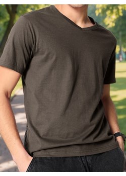 Sinsay - Koszulka - brązowy ze sklepu Sinsay w kategorii T-shirty męskie - zdjęcie 184915072