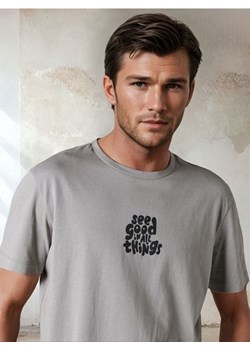 Sinsay - Koszulka - szary ze sklepu Sinsay w kategorii T-shirty męskie - zdjęcie 184934262