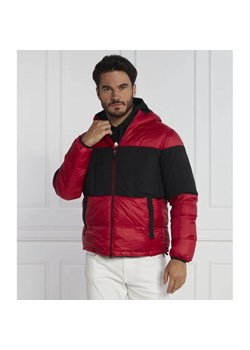 EA7 Puchowa kurtka | Regular Fit ze sklepu Gomez Fashion Store w kategorii Kurtki męskie - zdjęcie 184970680