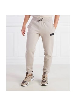 EA7 Spodnie dresowe | Regular Fit ze sklepu Gomez Fashion Store w kategorii Spodnie męskie - zdjęcie 185013042