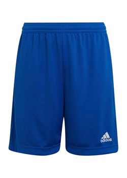 adidas Szorty sportowe Entrada 22 HG6291 Niebieski Regular Fit ze sklepu MODIVO w kategorii Spodenki chłopięce - zdjęcie 185039194