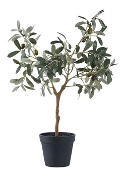 House Nordic Sztuczna roślina "Olive Tree" w kolorze zielonym - wys. 61 cm ze sklepu Limango Polska w kategorii Doniczki i osłonki - zdjęcie 185365053