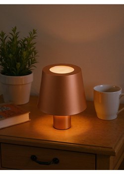 Sinsay - Lampka LED - brązowy ze sklepu Sinsay w kategorii Oświetlenie led - zdjęcie 185479574