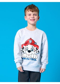 Sinsay - Bluza PAW Patrol - szary - id: 800CG-09M - marki Sinsay - 185524140 Sinsay - Bluza PAW Patrol - szary ze sklepu Sinsay w kategorii Bluzy chłopięce - zdjęcie 185524140