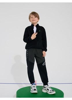 Sinsay - Spodnie polarowe Active - szary ze sklepu Sinsay w kategorii Spodnie chłopięce - zdjęcie 185615752