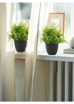 Sinsay - Roślina ozdobna z minimalistyczną doniczką - zielony ze sklepu Sinsay w kategorii Dom - zdjęcie 185702441