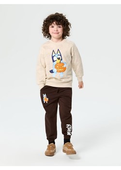 Sinsay - Bawełniana bluza z nadrukiem z motywem halloweenowym Bluey - beżowy - id: 589FF-80X - marki Sinsay - 185804152 Sinsay - Bawełniana bluza z nadrukiem z motywem halloweenowym Bluey - beżowy ze sklepu Sinsay w kategorii Bluzy chłopięce - zdjęcie 185804152