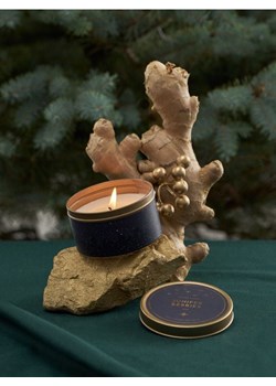 Sinsay - Świeczka Juniper Berries - granatowy ze sklepu Sinsay w kategorii Dom - zdjęcie 185804220