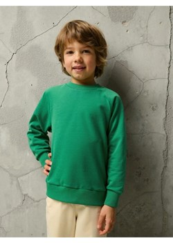 Sinsay - Bluza - zielony ze sklepu Sinsay w kategorii Bluzy chłopięce - zdjęcie 185811634