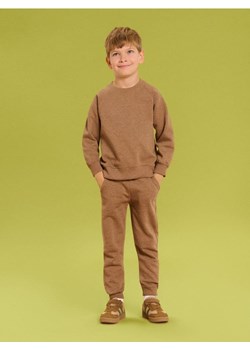 Sinsay - Komplet dresowy basic - brązowy ze sklepu Sinsay w kategorii Komplety chłopięce - zdjęcie 185811844