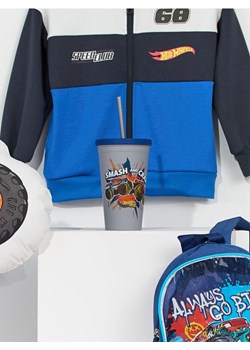 Sinsay - Kubek Hot Wheels - wielobarwny ze sklepu Sinsay w kategorii Dom - zdjęcie 185828094