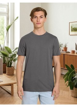 Sinsay - Koszulka - szary ze sklepu Sinsay w kategorii T-shirty męskie - zdjęcie 185828154