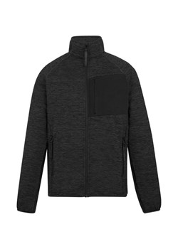 Polar męski Salzance Regatta - id: 202933 - marki Regatta - 185899250 Polar męski Salzance Regatta ze sklepu SPORT-SHOP.pl w kategorii Bluzy męskie - zdjęcie 185899250