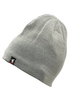 Męska Zimowa Czapka Szara z polarem - L/XL SKATEBOARD ST-531A ze sklepu Stylion w kategorii Czapki zimowe męskie - zdjęcie 185962503