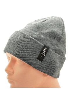 Ciepła męska czapka zimowa kolor szary ST-521B ze sklepu Stylion w kategorii Okulary przeciwsłoneczne damskie - zdjęcie 185964142