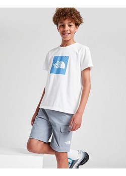 THE NORTH FACE SZORTY TRISHULL SHORT TW.GREY B - id: NF0A8CA5ZDK1 - marki The North Face - 185979131 THE NORTH FACE SZORTY TRISHULL SHORT TW.GREY B ze sklepu JD Sports  w kategorii Majtki dziecięce - zdjęcie 185979131