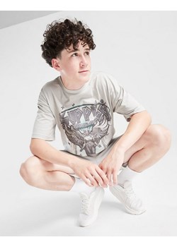 SUPPLY&amp;DEMAND T-SHIRT PRAISE GRY-HIR B ze sklepu JD Sports  w kategorii T-shirty chłopięce - zdjęcie 185982270