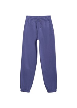 Spodnie dresowe chłopięce TTROM1245 4F ze sklepu SPORT-SHOP.pl w kategorii Spodnie chłopięce - zdjęcie 185992733