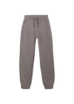 Spodnie dresowe chłopięce TTROM1245 4F ze sklepu SPORT-SHOP.pl w kategorii Spodnie chłopięce - zdjęcie 185993233