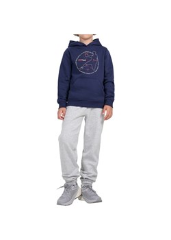 Spodnie dresowe chłopięce TTROM1510 4F ze sklepu SPORT-SHOP.pl w kategorii Spodnie chłopięce - zdjęcie 185993383