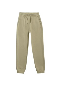 Spodnie dresowe chłopięce TTROM1245 4F ze sklepu SPORT-SHOP.pl w kategorii Spodnie chłopięce - zdjęcie 185993693
