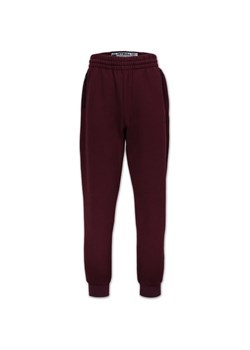 Spodnie dresowe męskie Hatton Pitbull West Coast ze sklepu SPORT-SHOP.pl w kategorii Spodnie męskie - zdjęcie 185993974