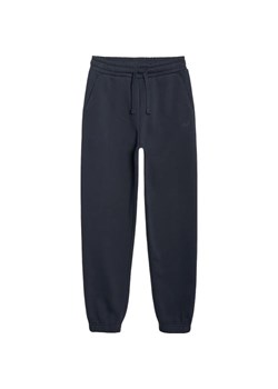Spodnie dresowe chłopięce TTROM1510 4F ze sklepu SPORT-SHOP.pl w kategorii Spodnie chłopięce - zdjęcie 185994003