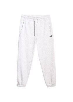 Spodnie dresowe męskie TTROM1140 4F ze sklepu SPORT-SHOP.pl w kategorii Spodnie męskie - zdjęcie 186014801