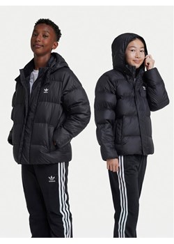 adidas Kurtka puchowa adicolor IY7498 Czarny Regular Fit - id: 0000305434210 - marki adidas - 186031114 adidas Kurtka puchowa adicolor IY7498 Czarny Regular Fit ze sklepu MODIVO w kategorii Kurtki chłopięce - zdjęcie 186031114