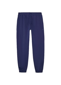 Spodnie dresowe męskie TTROM1140 4F ze sklepu SPORT-SHOP.pl w kategorii Spodnie męskie - zdjęcie 186056851