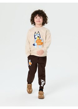Sinsay - Spodnie jogger z nadrukiem Bluey - brązowy - id: 604FF-89X - marki Sinsay - 186083231 Sinsay - Spodnie jogger z nadrukiem Bluey - brązowy ze sklepu Sinsay w kategorii Spodnie chłopięce - zdjęcie 186083231