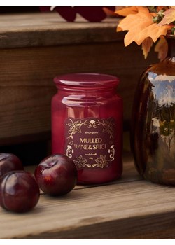 Sinsay - Świeczka Mulled Wine & Spice - fioletowy - id: 799FV-34X - marki Sinsay - 186083653 Sinsay - Świeczka Mulled Wine & Spice - fioletowy ze sklepu Sinsay w kategorii Świece i dyfuzory - zdjęcie 186083653