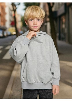 Sinsay - Bluza hoodie - szary ze sklepu Sinsay w kategorii Bluzy chłopięce - zdjęcie 186084242