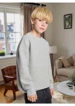Sinsay - Bluza - szary ze sklepu Sinsay w kategorii Bluzy chłopięce - zdjęcie 186130350