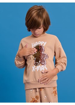 Sinsay - Bluza świąteczna - beżowy ze sklepu Sinsay w kategorii Bluzy chłopięce - zdjęcie 186149202