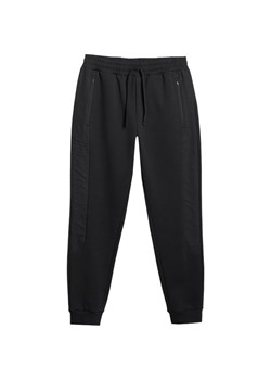 Spodnie dresowe męskie TTROM1252 4F ze sklepu SPORT-SHOP.pl w kategorii Spodnie męskie - zdjęcie 186179190
