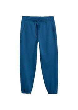 Spodnie dresowe męskie TTROM1140 4F ze sklepu SPORT-SHOP.pl w kategorii Spodnie męskie - zdjęcie 186179381