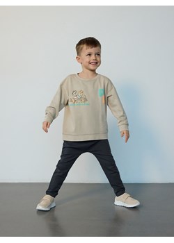 Reserved - Komplet Psi Patrol - ciemnoszary ze sklepu Reserved w kategorii T-shirty chłopięce - zdjęcie 186209414