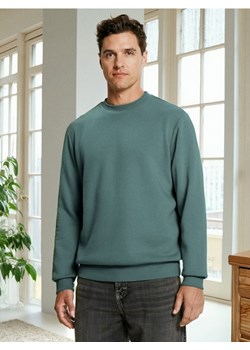 Sinsay - Bluza z długim rękawem - zielony ze sklepu Sinsay w kategorii Bluzy męskie - zdjęcie 186231402