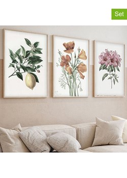 ABERTO DESIGN Druki artystyczne (3 szt.) w ramce ze sklepu Limango Polska w kategorii Obrazy - zdjęcie 186326442
