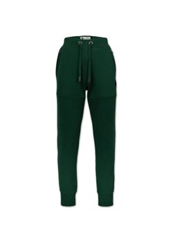 Spodnie dresowe męskie Small Logo Hd Track Pants Pitbull West Coast ze sklepu SPORT-SHOP.pl w kategorii Spodnie męskie - zdjęcie 186444463