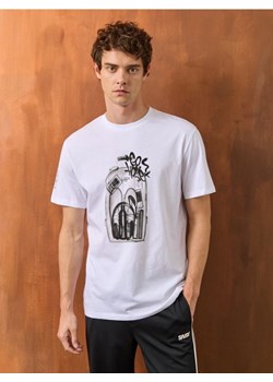 Sinsay - Koszulka z nadrukiem - wielobarwny ze sklepu Sinsay w kategorii T-shirty męskie - zdjęcie 186573163