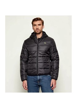 Lacoste Kurtka | Regular Fit ze sklepu Gomez Fashion Store w kategorii Kurtki męskie - zdjęcie 186649962