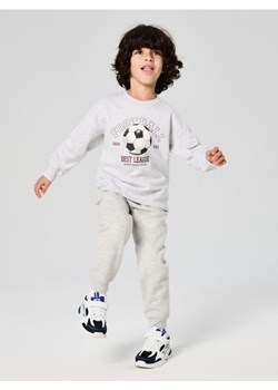 Sinsay - Bluza crewneck z nadrukiem - szary ze sklepu Sinsay w kategorii Bluzy chłopięce - zdjęcie 186702990