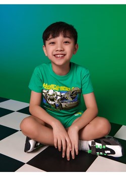 Sinsay - Koszulka Hot Wheels - zielony ze sklepu Sinsay w kategorii T-shirty chłopięce - zdjęcie 186793163