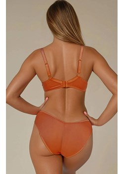 Figi  damskie z wysokim stanem haftowane w kolorze ceglastym Feline, Kolor ceglasty, Rozmiar XS, Sawren - id: 218220 - marki Sawren - 187209562 Figi  damskie z wysokim stanem haftowane w kolorze ceglastym Feline, Kolor ceglasty, Rozmiar XS, Sawren ze sklepu Primodo w kategorii Majtki damskie - zdjęcie 187209562